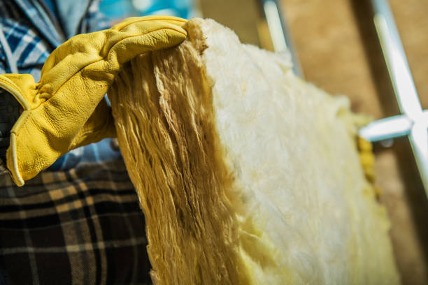 Best Geographic-Specific Insulation Services in Aptos, CA